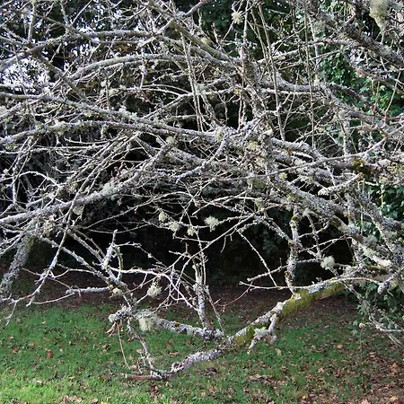 Prázdninový dům La Casa De Don Alfonso *